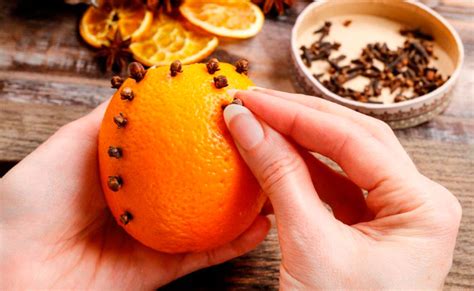 Orange Piquee De Clous De Girofles - Clous de girofle entiers bio - poche 1kg | KHLA - L'épicérie du Mekong