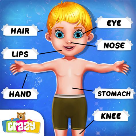 Kids Human Body Parts Learning Gameamazonfrappstore For Android