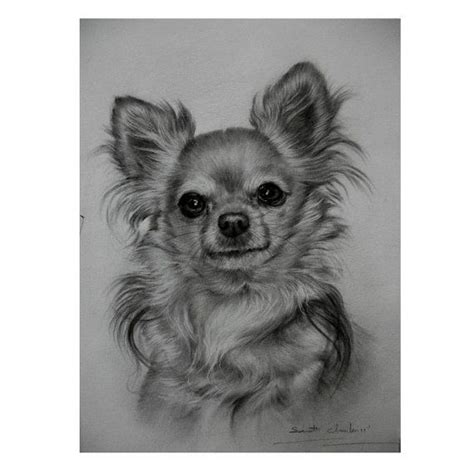 Let Me Draw Portrait Of Your Pet Custom 8 X 11 By Theartalert 52