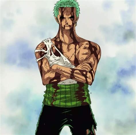 Roronoa Zoro Fighting