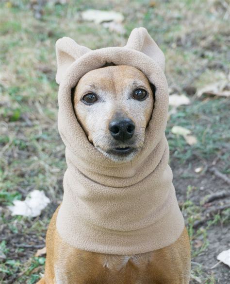 Winter Dog Snood With Ears Fleece Dog Snood Dog Hat Hood Etsy Australia