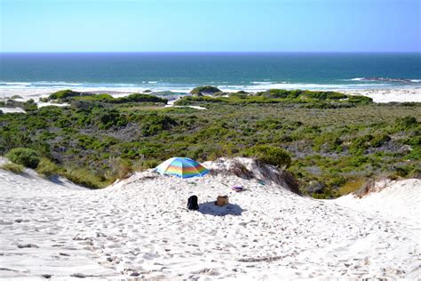 Sandboarding In Bettys Bay South Africa