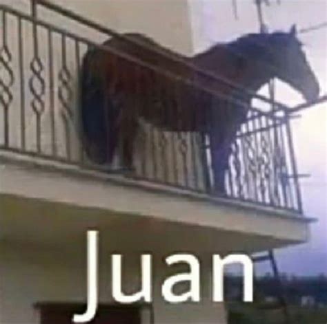 Juan 9gag