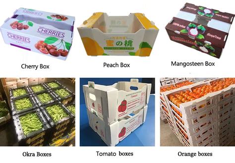 Fruit And Vegetable Corrugated Plastic Packaging Boxes Custom Packaging