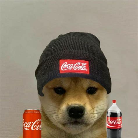 Profile Picture Doge With Hat Meme Realtec