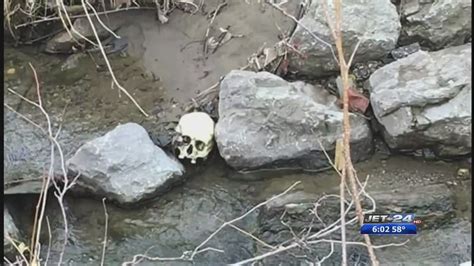 Police Confirm Human Skull Found In Cascade Creek At Frontier Park