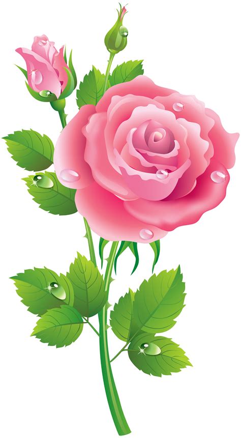 Rose Pink Transparent Clip Art Image Gallery