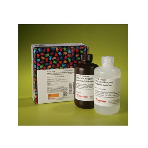LaboShop Products Thermo Scientific Pierce ECL Western Blotting Substrate ML