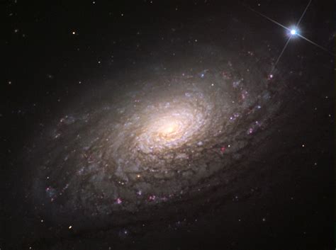 Galaxia Espiral Barrada 2608 Galaxia Espiral Barrada 2608 La Galaxia Espiral Barrada