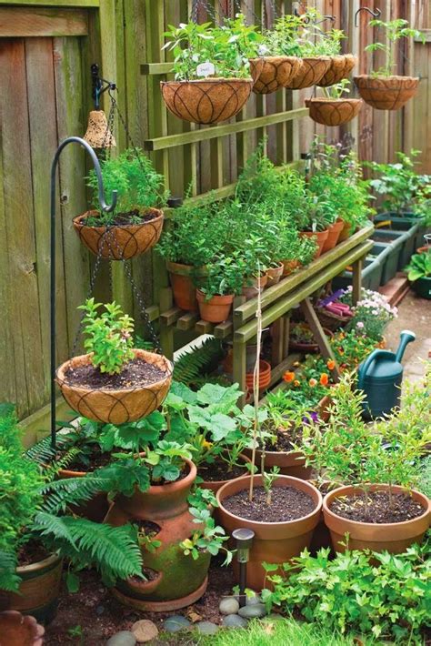 11333 Best Garden Ideas And Projects Images On Pinterest