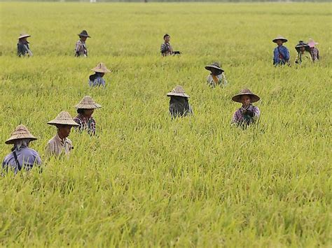 Places yangon shopping & retailaccessories m1 myanmar. Myanmars Regierung lässt Reis in Krisenregion von Rakhine ...