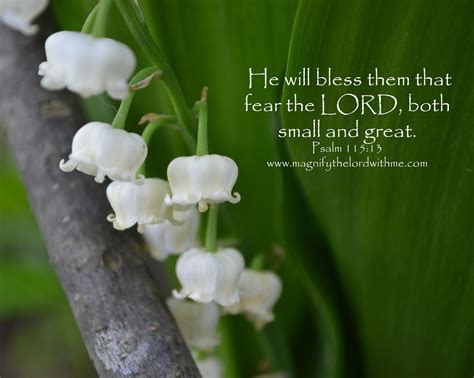 Lily Of The Valley Bible Fear Of The
