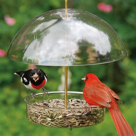 Droll Yankees Seed Saver Platform Bird Feeder With Adjustable Dome