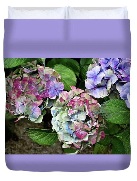 Hydrangea Trio Duvet Cover By Venetia Featherstone Witty Duvet Covers
