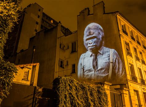 Paris Safari Projected Wildlife Gets Chic In The City Urbanist