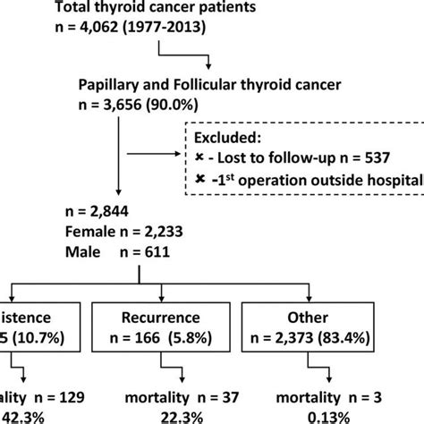 Flow Chart Showing The Classification Of Thyroid Cancer Patients The
