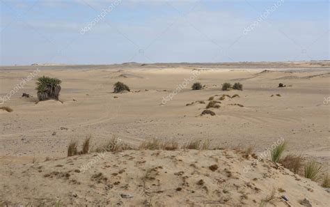 Paisaje Vista Panorámica Del Desierto Desolado Occidental Estéril En