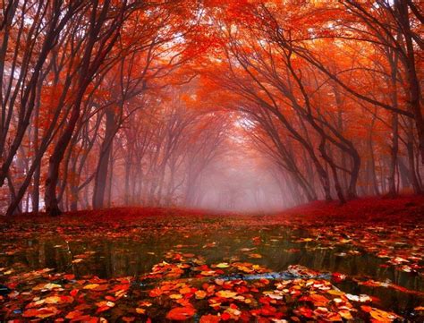 After The Rain By Adrian Borda Photo 124322053 500px Amazing