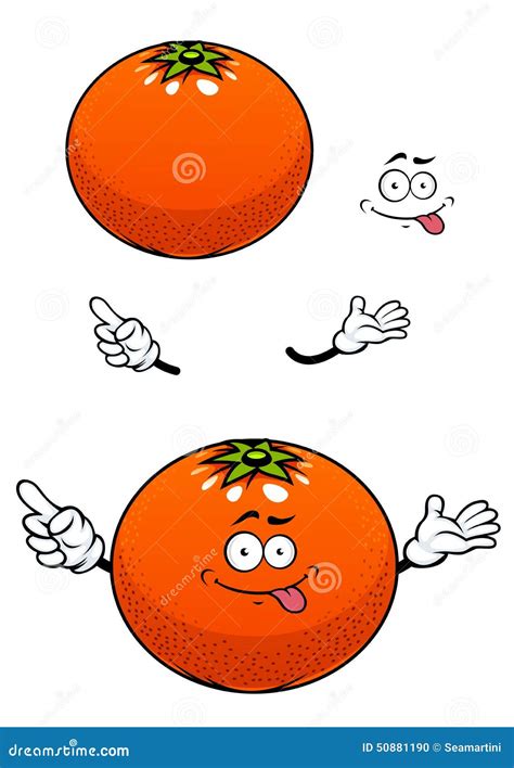 Orange Fruit With Glossy Peel Cartoon Character Stock Vector Image