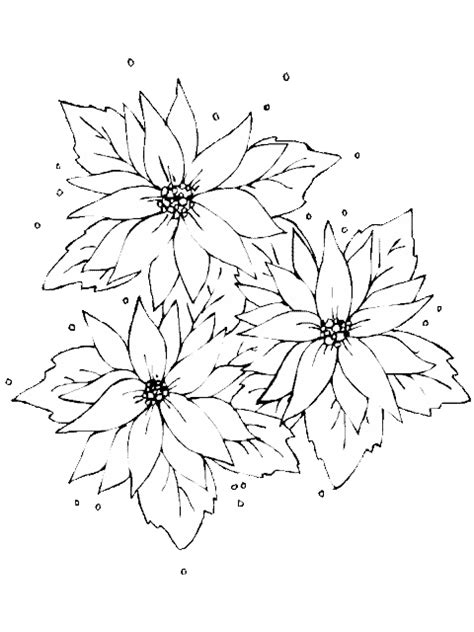 DIBUJOS PARA COLOREAR FLORES DE NAVIDAD