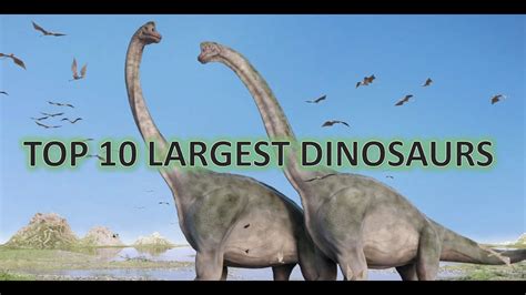Top 10 Largest Dinosaurs That Walked On Earth Youtube