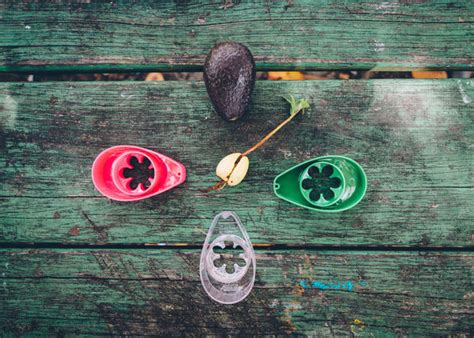 It has never been easier to grow your own avocado trees! Grow Your Own Avocado Tree at Home with AvoSeedo! # ...