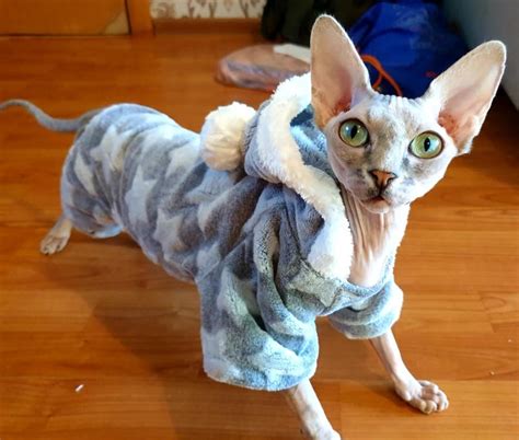 Cute Soft Fleece Warm Winter Sphynx Cat Hoodie Hooded Sweatshirt