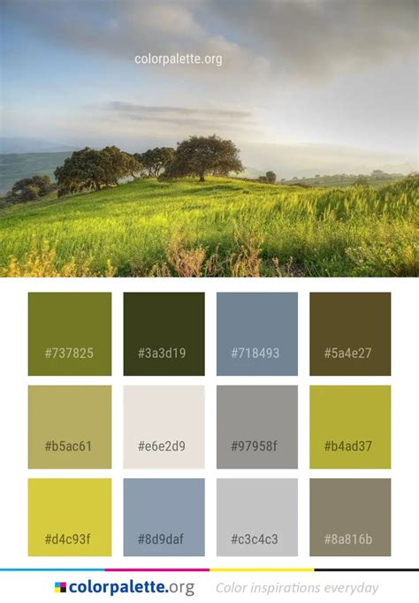 Grassland Sky Field Color Palette