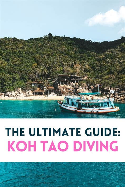 A Guide To Koh Tao Scuba Diving Artofit
