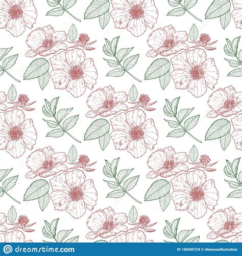 Floral Seamless Background With Wild Roses And Leaves On The White