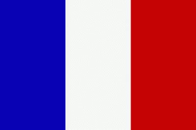 Flagge von frankreich, flagge von frankreich land der vereinigten staaten, frankreich, winkel, bereich, kunstwerk png. Flaggenparadies - Flagge Frankreich