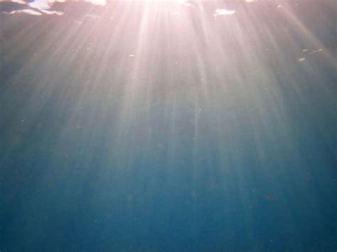 Underwater Light Rays Free Stock Photo Public Domain Pictures