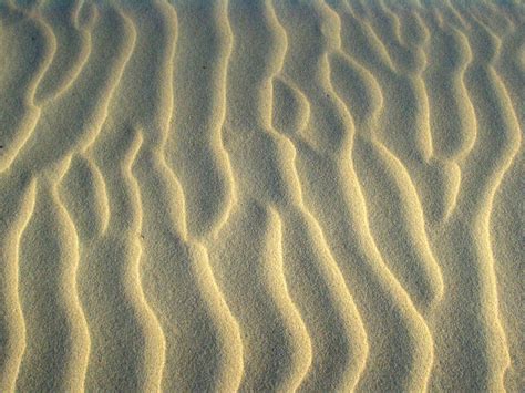 Free Images Beach Sand Sunlight Texture Wave Ripple Pattern