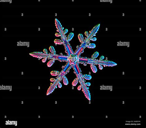 Snowflake Light Micrograph Of A Stellar Dendrite Snowflake Snowflakes
