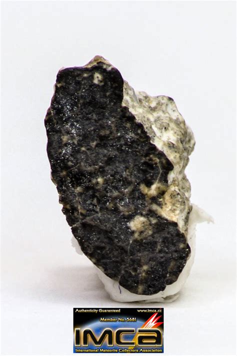 Fragments 3010 G Nwa Monomict Eucrite Achondrite With Fresh Fusion