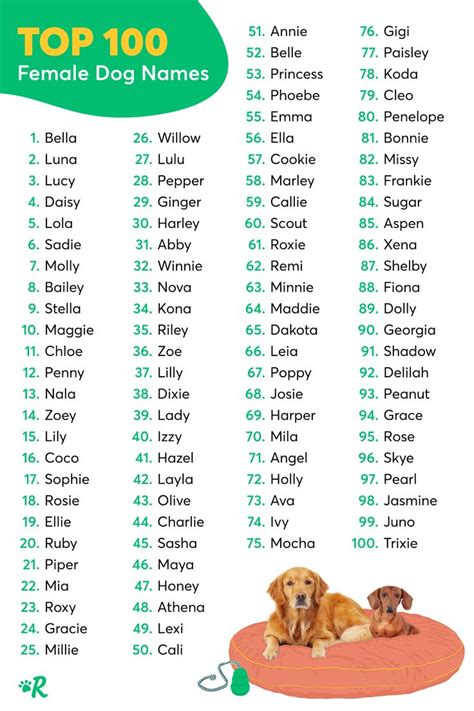 Top 100 Most Popular Dog Names In 2020 Dog Names Female
