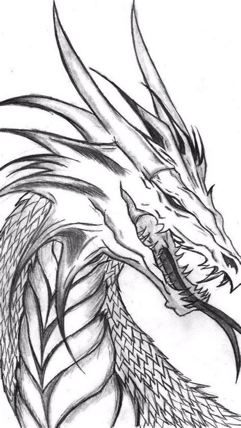 Undead Dragon Sketch By Crystalsully On Deviantart Artofit