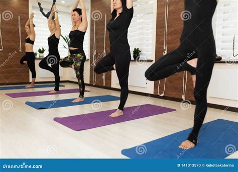 Group Of Womans Doing Yoga Exercises In Gym Fit And Wellness Lifestyle Stock Photo Image Of