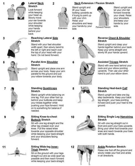 Don T Forget To Stretch Before And After Exercise Stretching Exercises Stretching Exercises