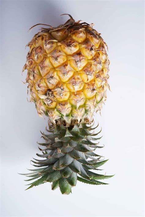 How To Ripen Pineapple Easily And Make It Delicious