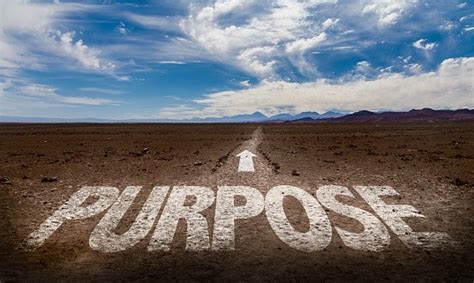The Importance Of A Purpose Driven Life Atoallinks