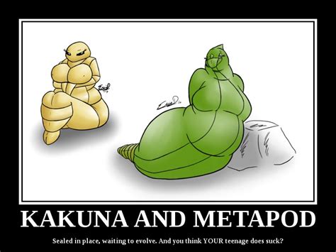 Kakuna And Metapod Pokémon Know Your Meme