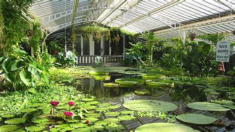 Egal ob münchner oder tourist, der botanische garten ist ein muss. Botanischer Garten lange geschlossen - Sanierungsarbeiten ...