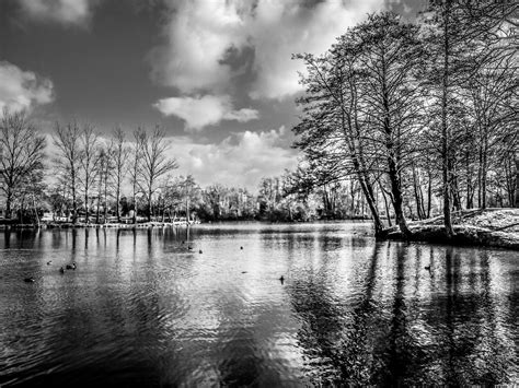 Ce site utilise des cookies provenant de google afin de fournir ses services, personnaliser les annonces et analyser le trafic. Fond d'écran : paysage, Monochrome, Lac, eau, la nature ...