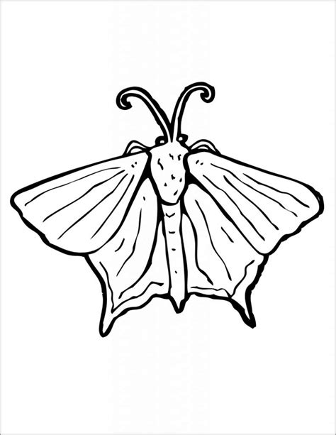 Pinterest is plentiful in color scheme inspiration so i pulled three pins from my color inspo board and made some oak moth mock ups with them! Moth Coloring Pages - Coloring Home