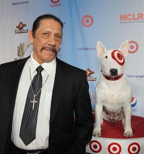Check spelling or type a new query. Who looks tougher: Danny Trejo or Bullseye? | English bull terriers, English bull, Dogs