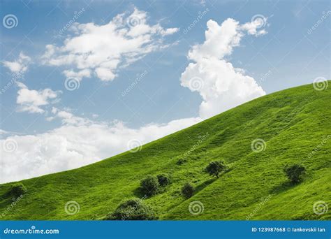 A Gentle Slope Of A Green Hill With Rare Trees And Lush Grass Against A