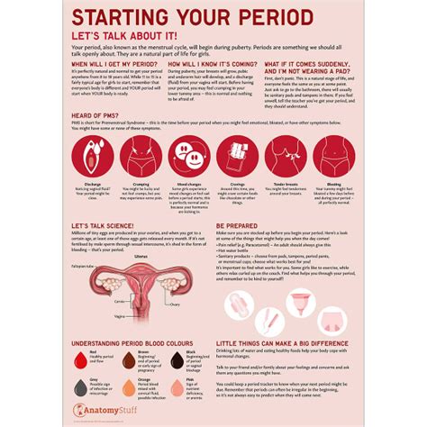 Starting Your Period Poster Menstruation Education Anatomystuff
