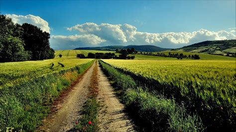 Nature Landscape Field Clouds Dirt Road Wallpapers Hd