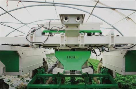 New Dino Weeding Robot Officially Released In Vegetable Fields Naïo